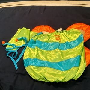 VGUC butterfly bunting costume